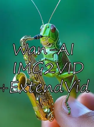 万相图生视频Video Extend工作流