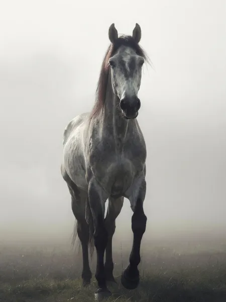 光影增强/摄影打光/暗光增强LoRA