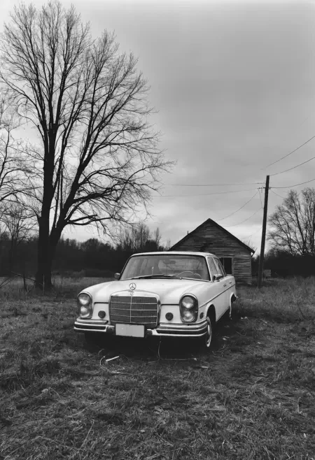 CyberRealistic XL 真实摄影模型插图8 CyberRealistic XL 真实摄影模型插图8