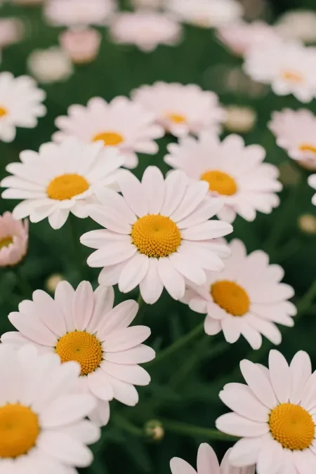 Flux2-Klein-9B-True 全能模型插图15 Flux2-Klein-9B-True 全能模型插图15